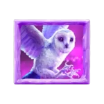 Jack-Frosts-owl