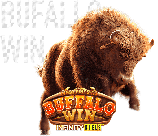 รีวิว Buffalo Win
